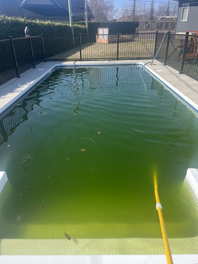 Piscine verte avant service SOS — Piscines Lemaire Rive-Sud